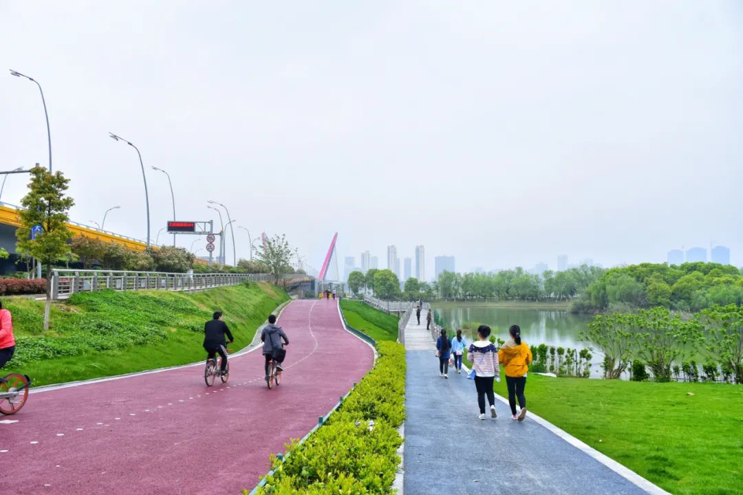 南昌九龙湖雨阳公园图片