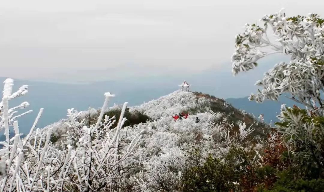 赣县宝莲山雪景图片