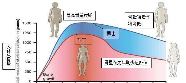 不存在因果關係,研究者提出走路速度能一定程度上預示人體的健康情況