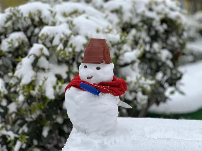 雪人图片实景图片