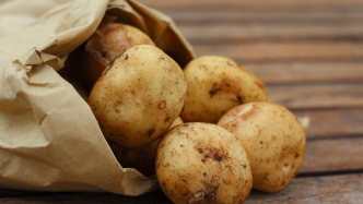 “轻食土豆”的巧合与必然｜新供给观察