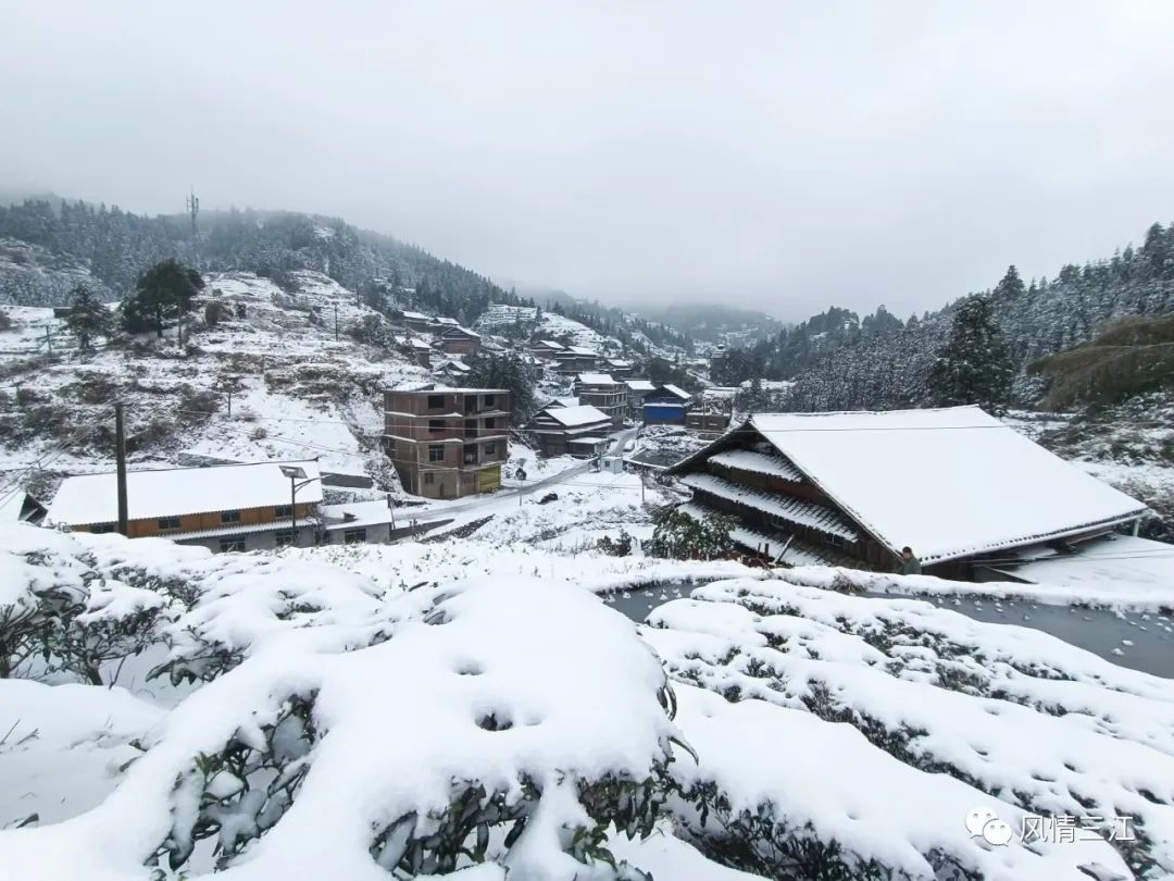 芒市苤菜坝下雪图片