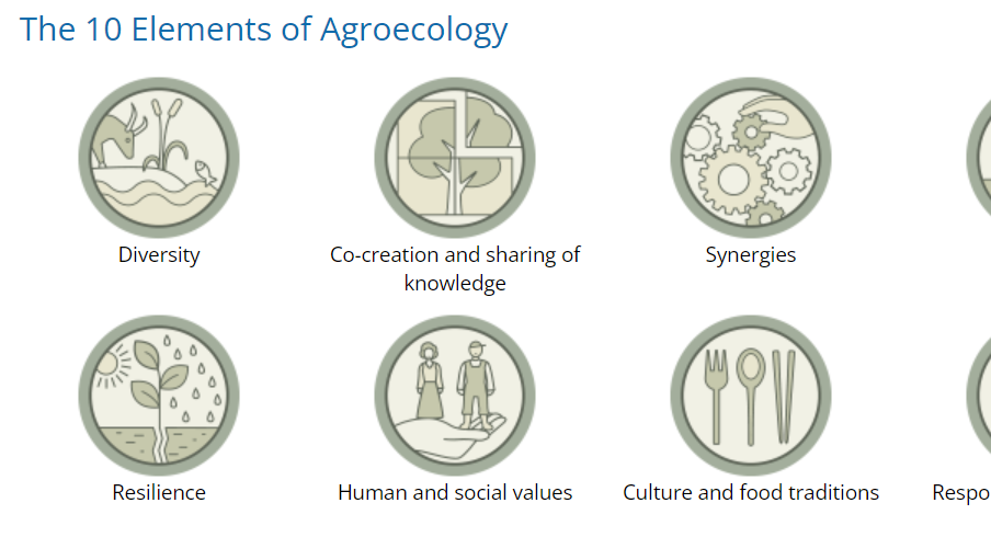 农业生态学的十大要素| 绿会科普小课堂