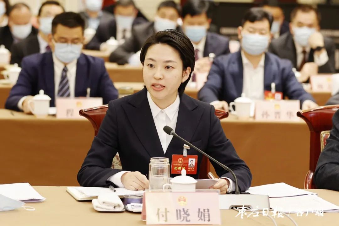 政务陈平参加峄城区代表团审议