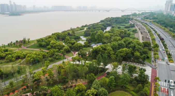 漁舟灣溼地公園九龍湖公園棧道,亭臺樓閣,湖水相映成趣,竹林,四季花