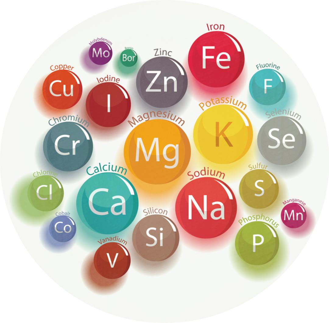 大家好,欢迎来到微量营养素——元素家族,我们家族约有70个成员,有