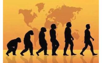 最新研究可能颠覆达尔文百年理论？进化论：你是不是看不起我