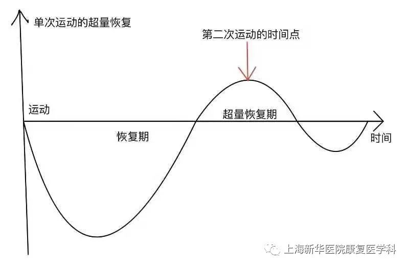 67鍛鍊間隔巧安排超量恢復原理