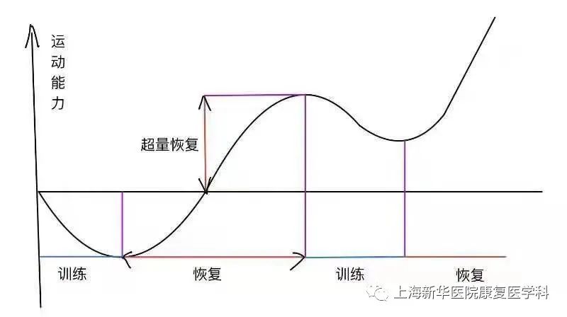 67鍛鍊間隔巧安排超量恢復原理