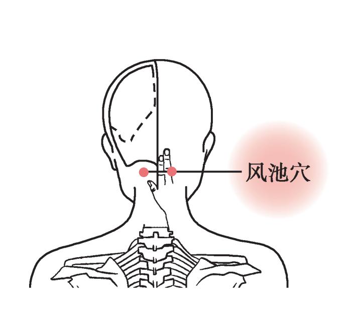 风池的准确位置图图解图片