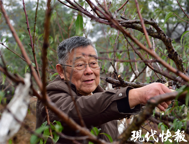 致富农民事迹登报纸_农民致富经_致富农民李文龙