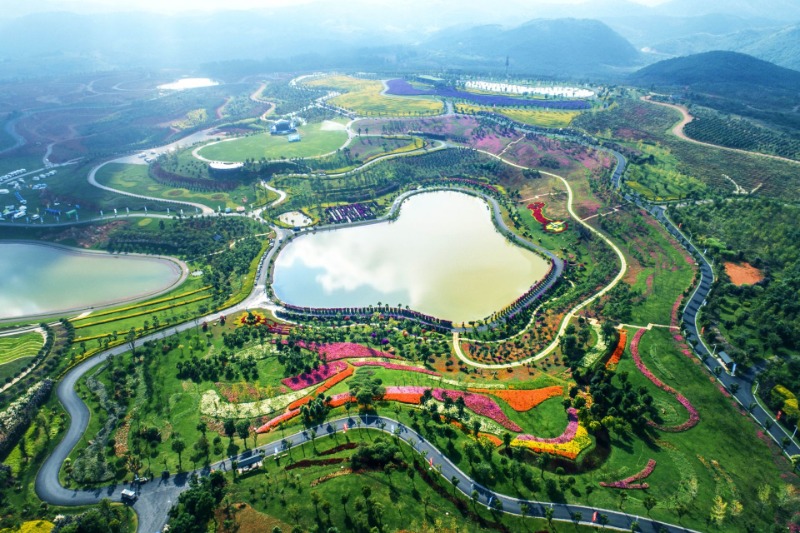 原来你是这样的弥勒太平湖森林小镇