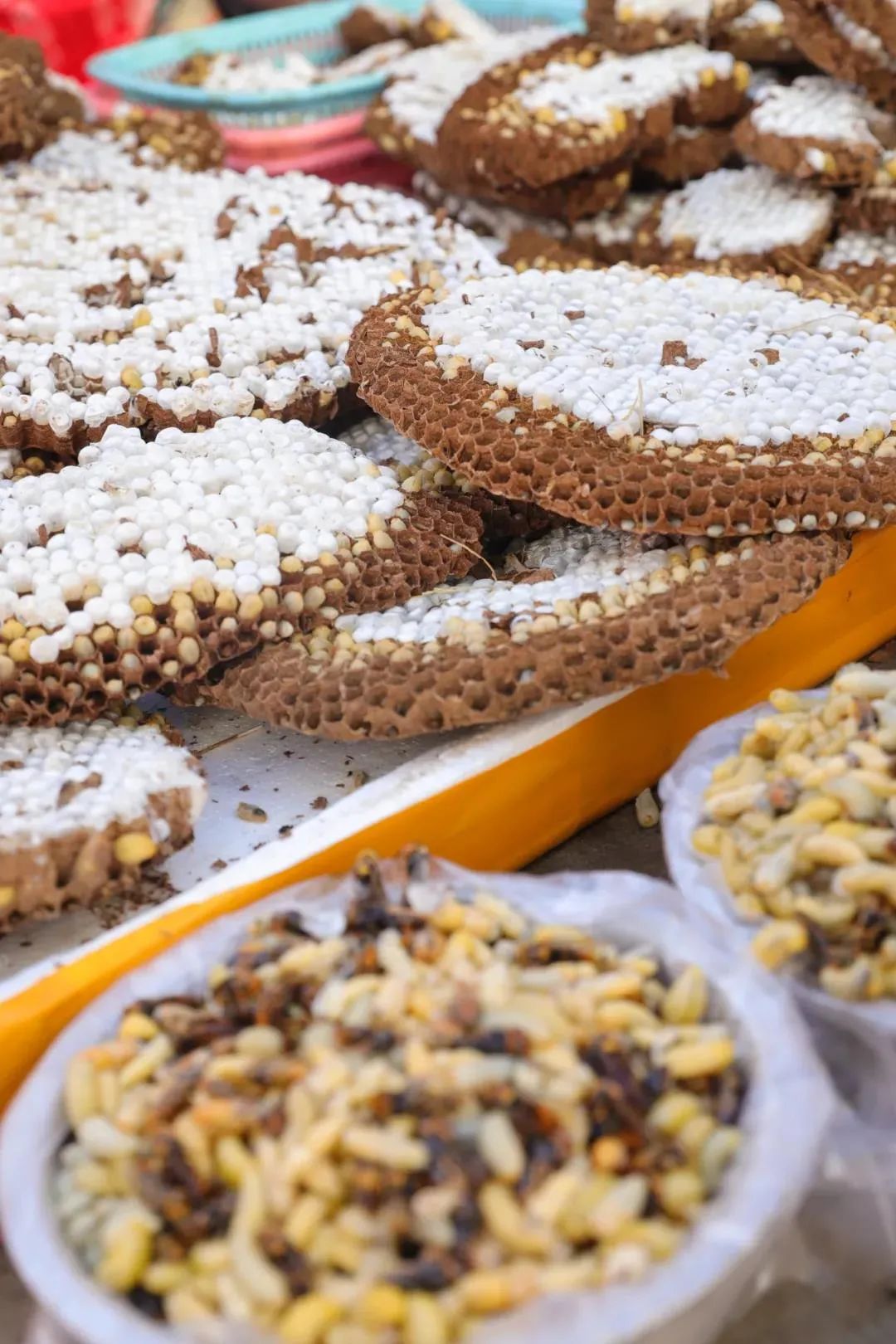 正值腾冲棕包最美味的时节来腾冲尝鲜吧