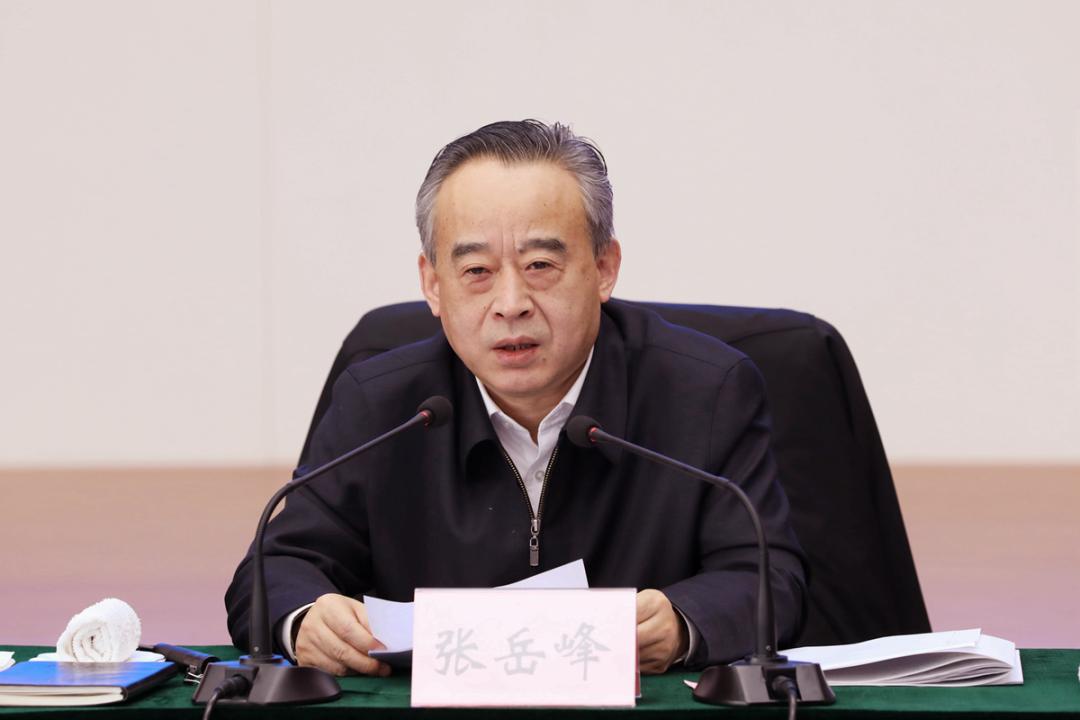 张岳峰认真贯彻落实省委要求加快推进清理处置工作