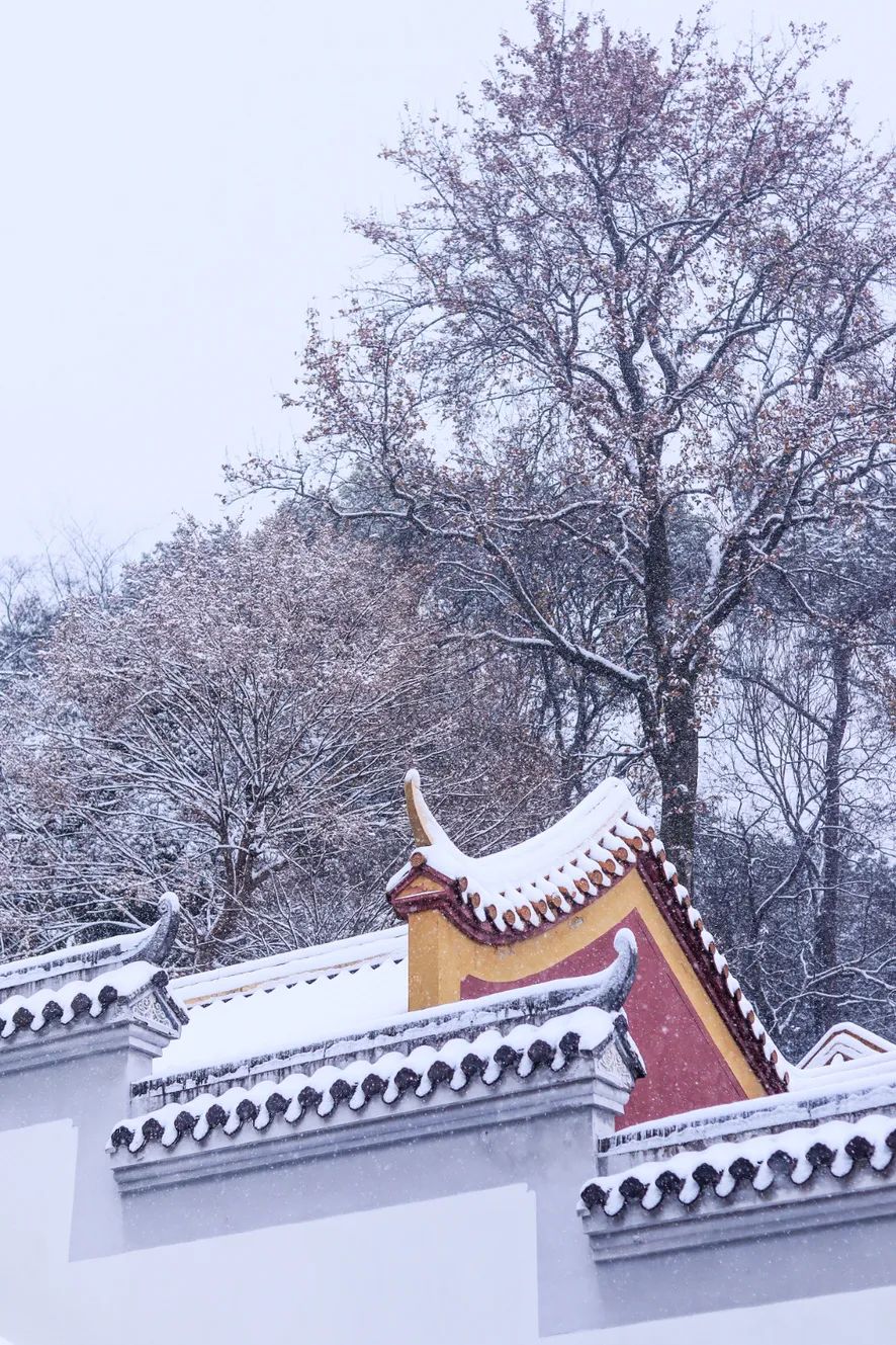 屏边大围山雪景图片