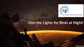 “熄灯，让候鸟安全回家” | 2022年世界候鸟日口号