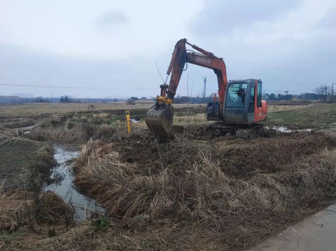 早安 庐江 早安 庐江