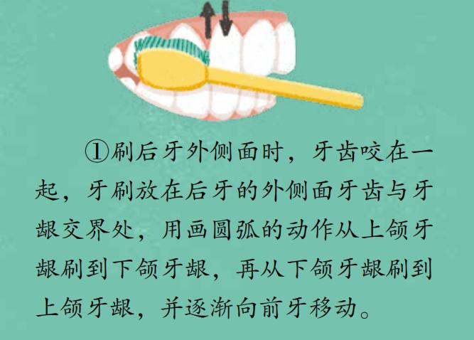 健康哥哥还教给大家正确的刷牙方法:圆弧刷牙法.