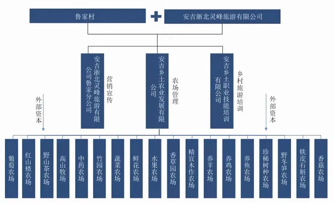 和鲁家村组建了"公司 村 家庭农场"的村庄经济开