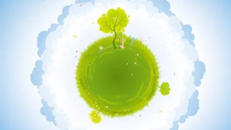 轉正心得體會：心懷責任，穩步向前