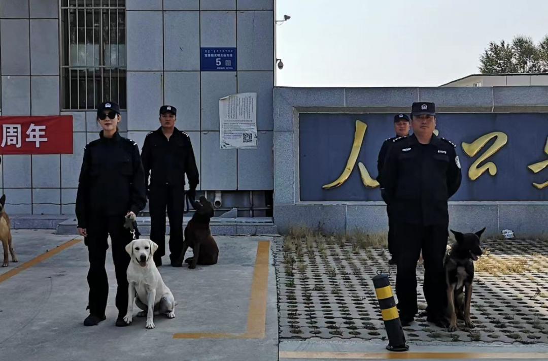 公安局警犬基地图片