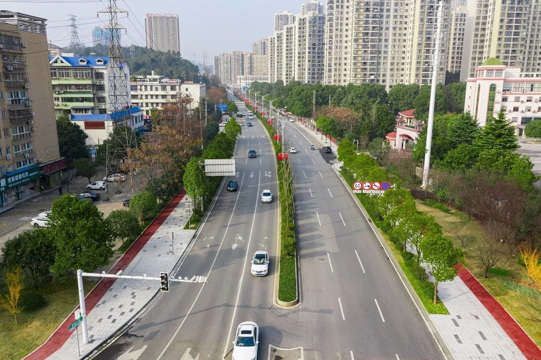 山茶花,大花萱草,欒樹等植物在道路兩旁迎風招展,道路路面,建築立面等