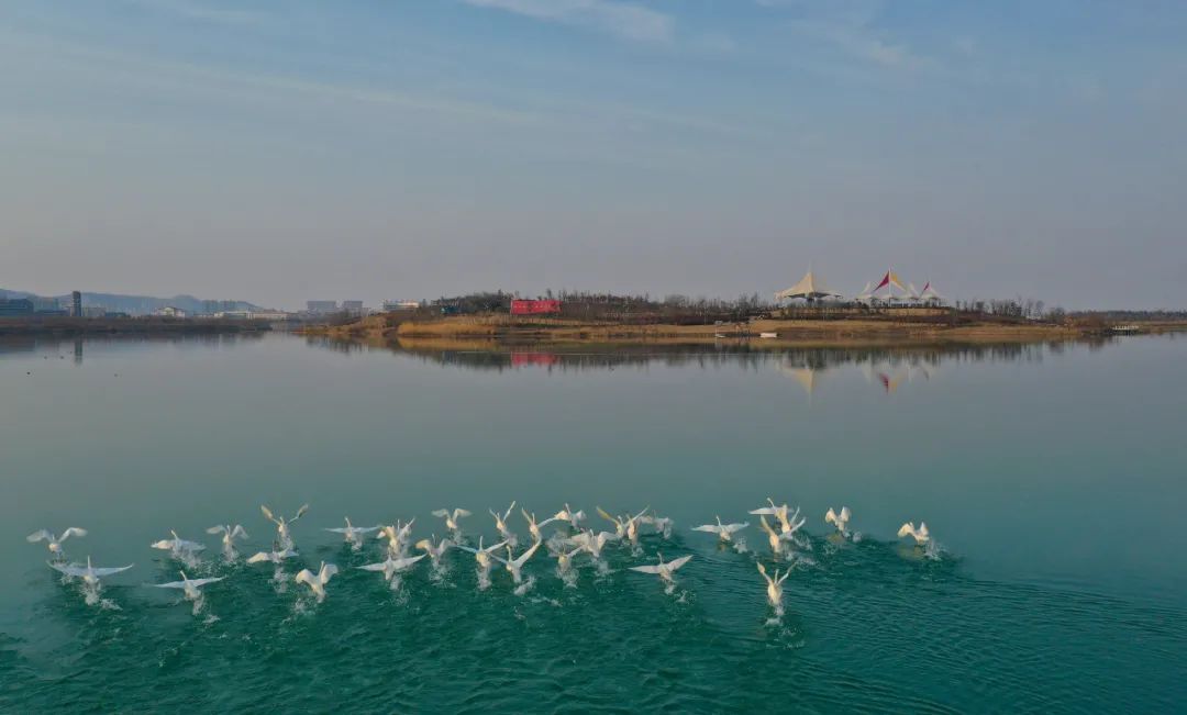 淮北中湖湿地公园全景图片