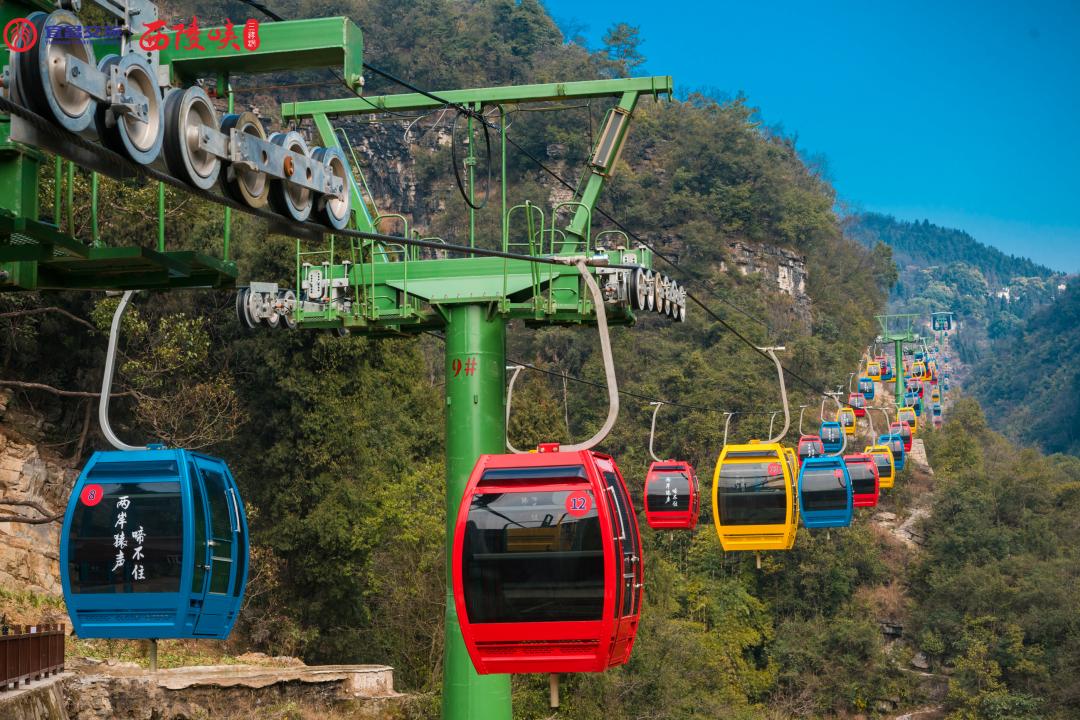 "大圣"归来!三峡猴溪重装开园!_澎湃号·政务_澎湃新闻-the paper