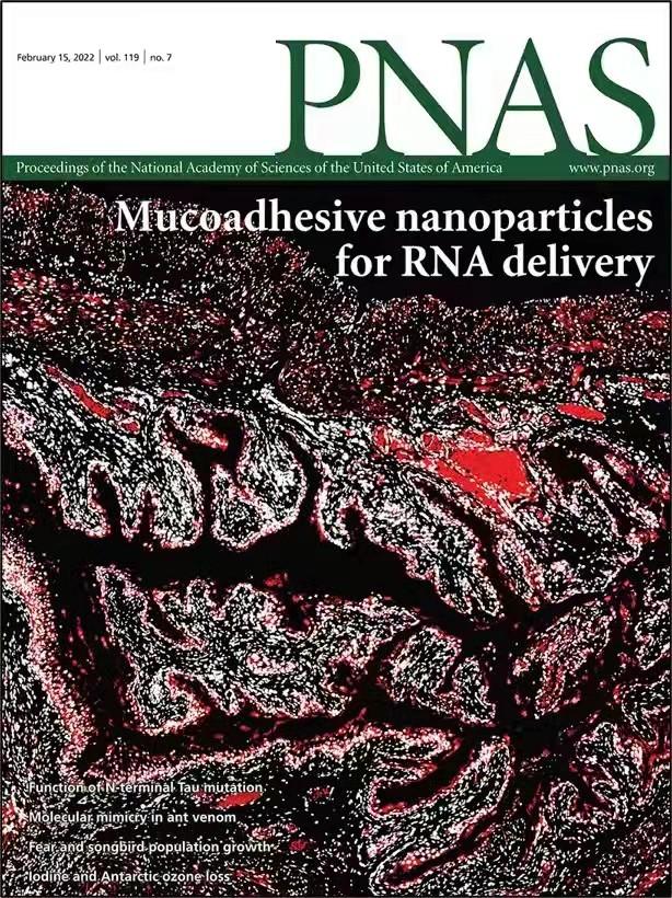 研究成果以封面文章在pnas上发表_政务_澎湃新闻-the paper