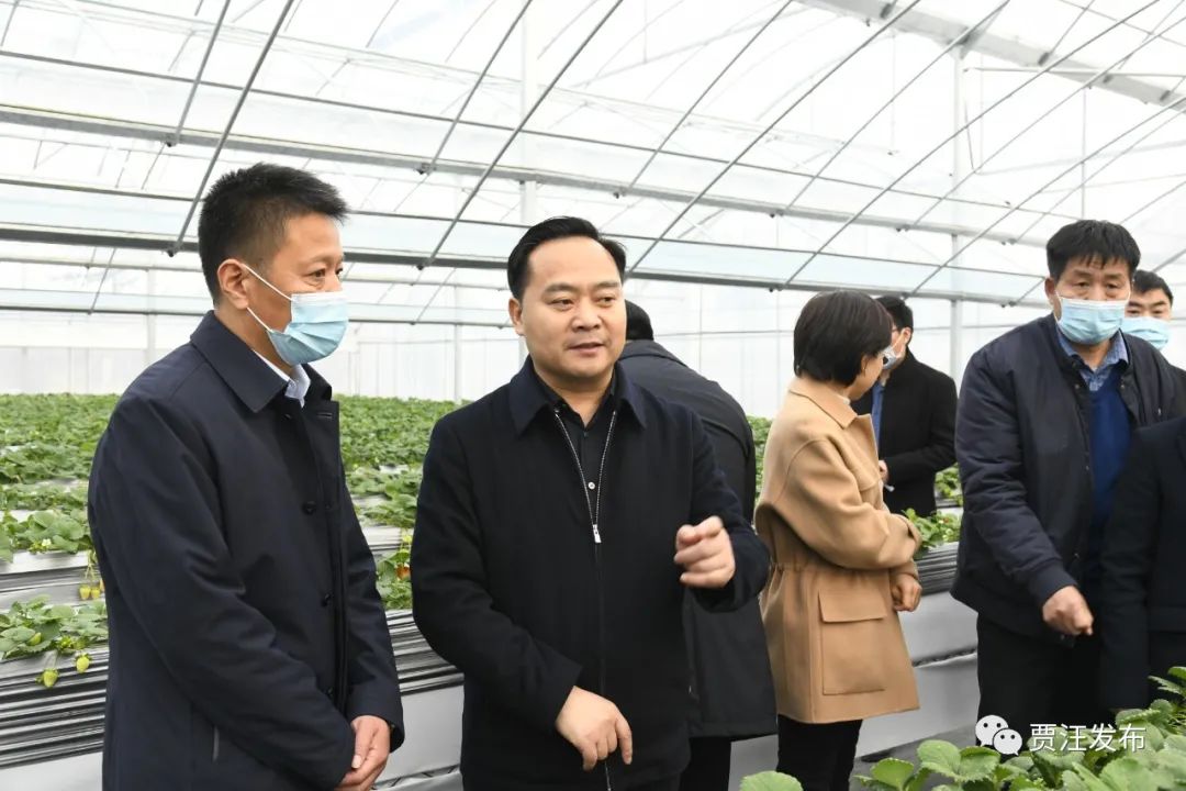 薛永调研塔山镇区现代农业产业园区民生改善和土地整理工作
