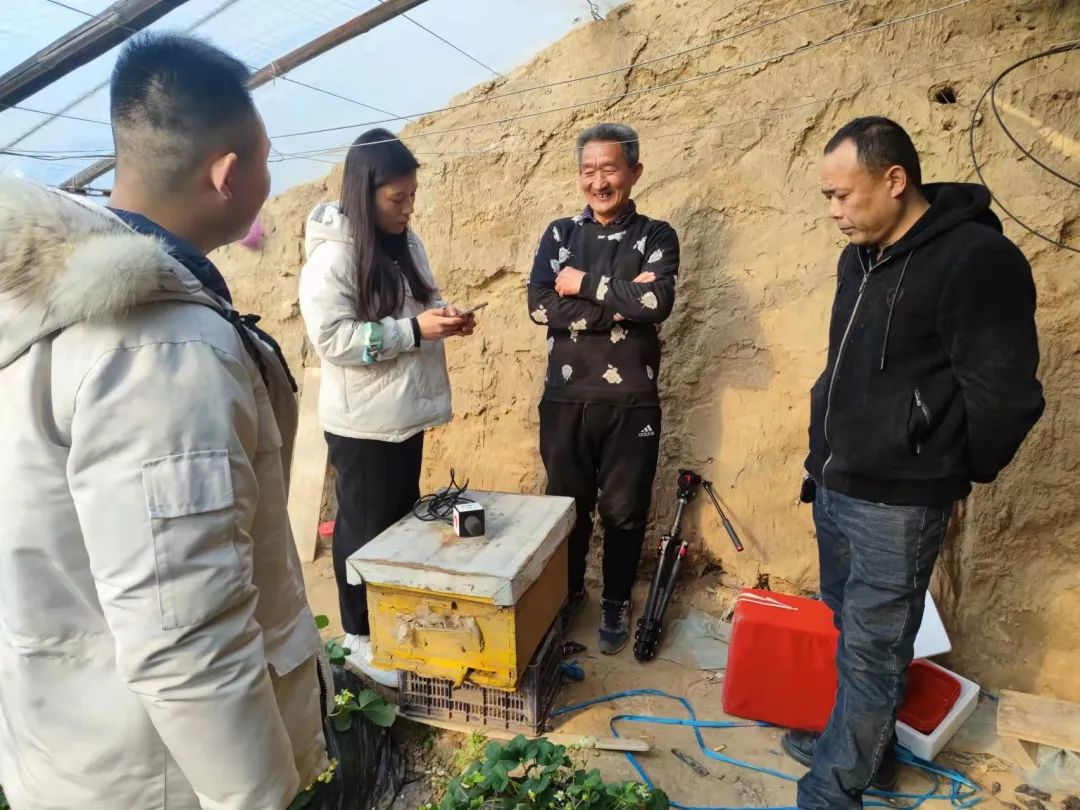 我为群众办实事广阳区万庄镇创新果先行红寺草莓谋振兴