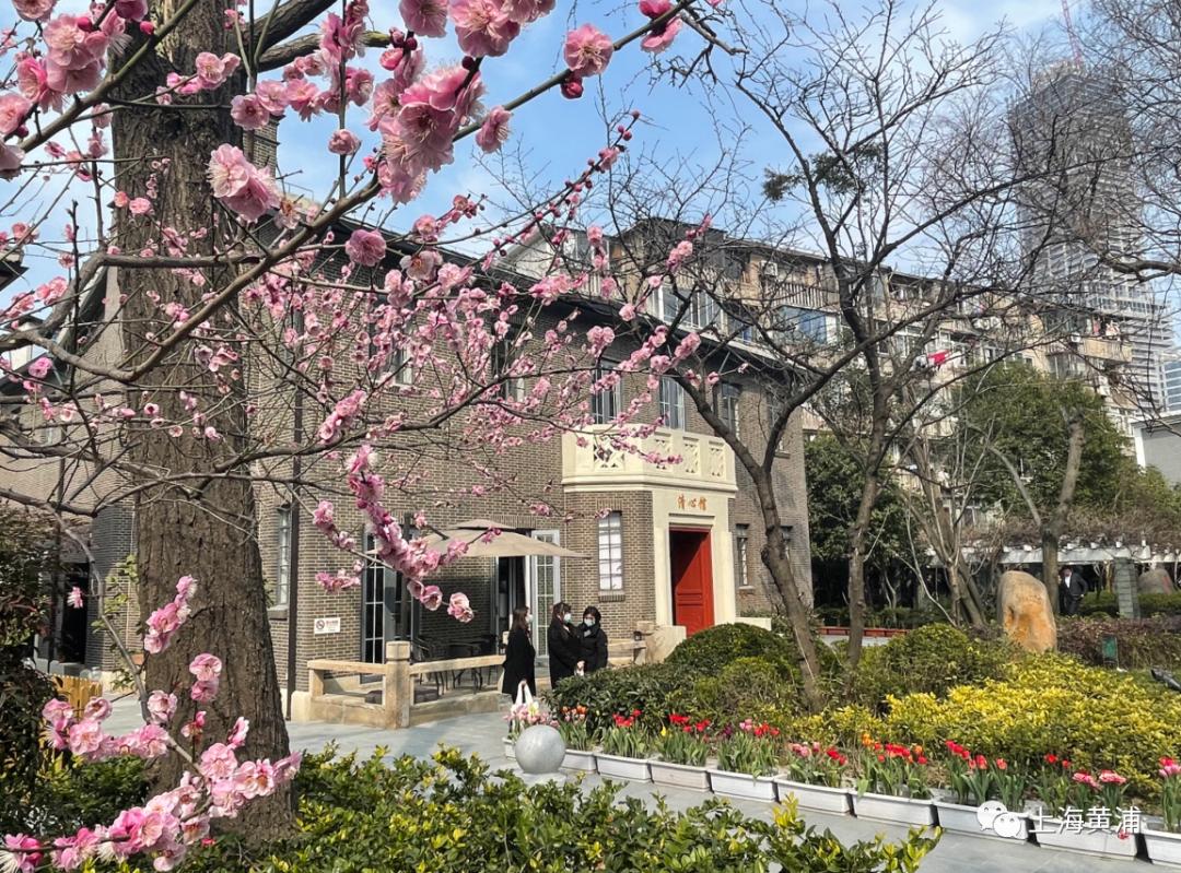 市南中学校史馆清心馆启用