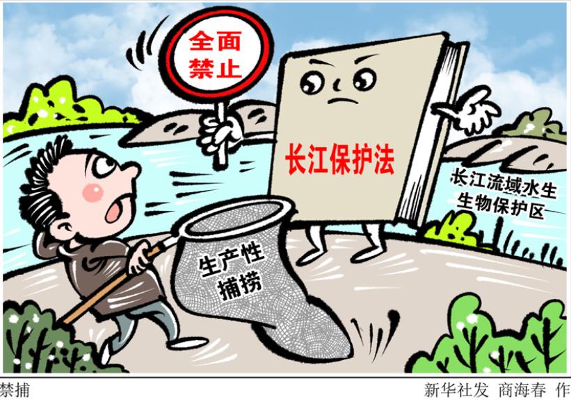 长江保护法实施一周年一起来学习吧