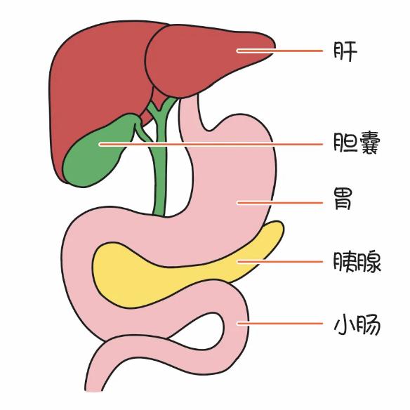 华东科普 切肿瘤