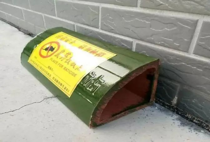 关注春季灭鼠行动开始啦