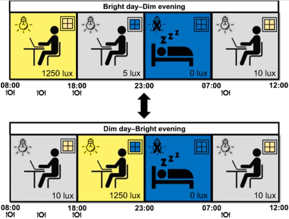 科学证实:爸妈总说昼夜颠倒干活不好,是真的