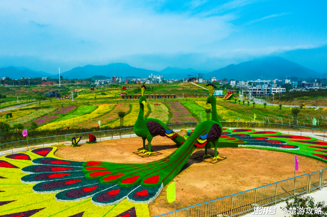 地址:咸宁市通山县大路乡吴田村