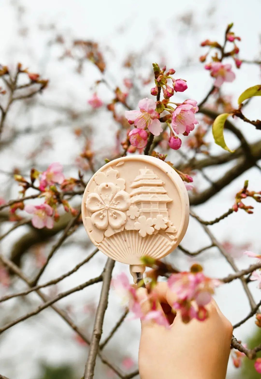 要做好个人防护戴好口罩希望与你相遇在这个春天原标题:《樱花开啦!