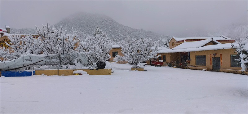 組圖飛雪迎春楚雄南華唯美雪景令人心醉