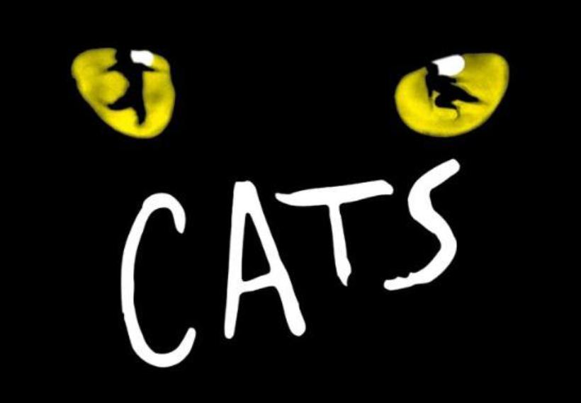 《巴黎圣母院》卡西莫多的呐喊,到《猫》中让人潸然泪下的《memory》