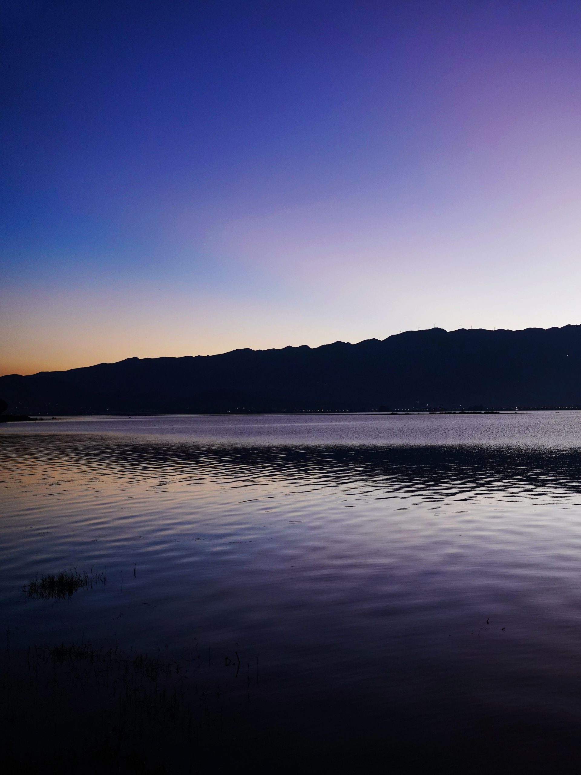 大屯海春日景色有多美美到霸气登上央视新闻联播