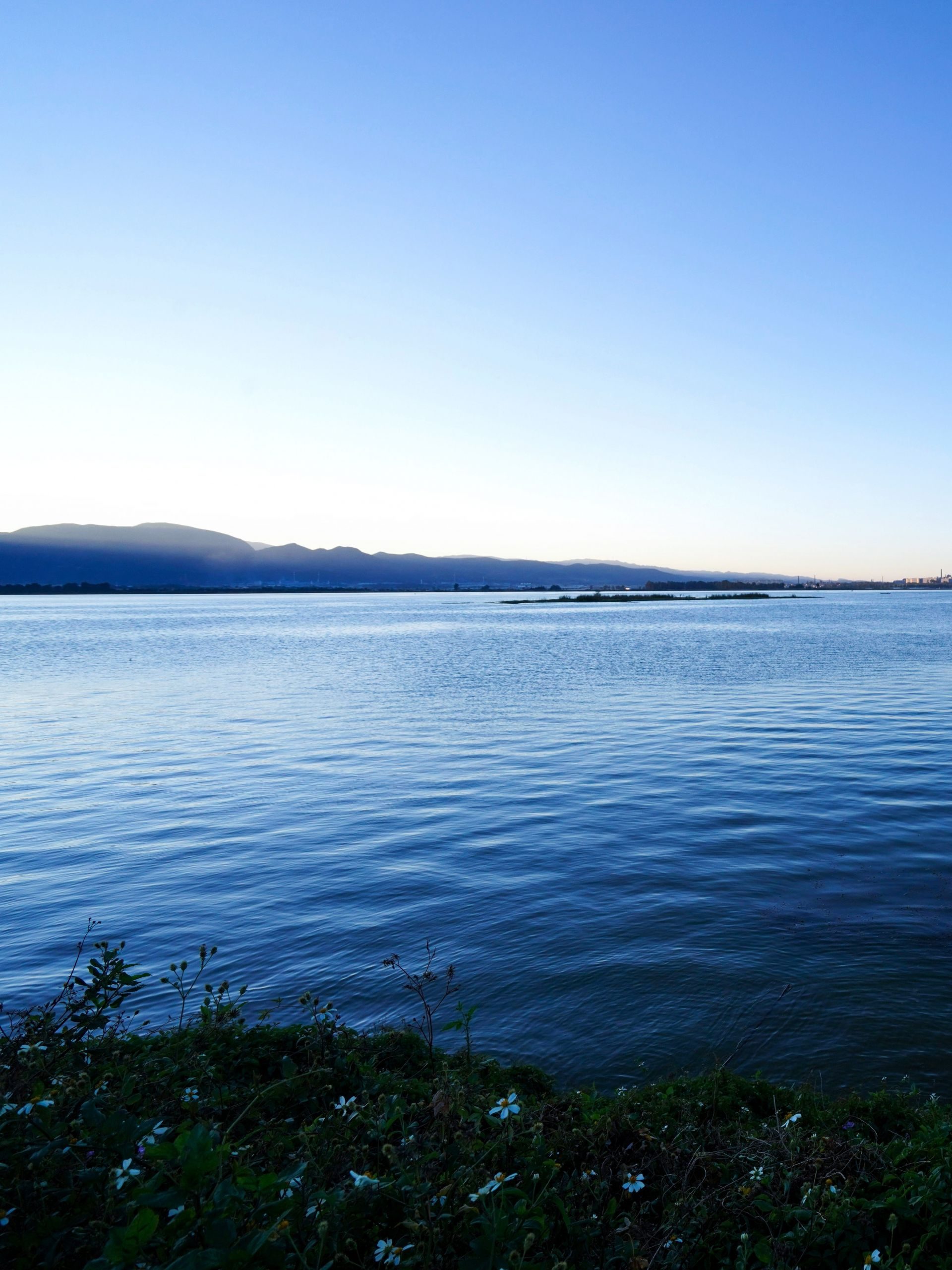 大屯海春日景色有多美美到霸气登上央视新闻联播