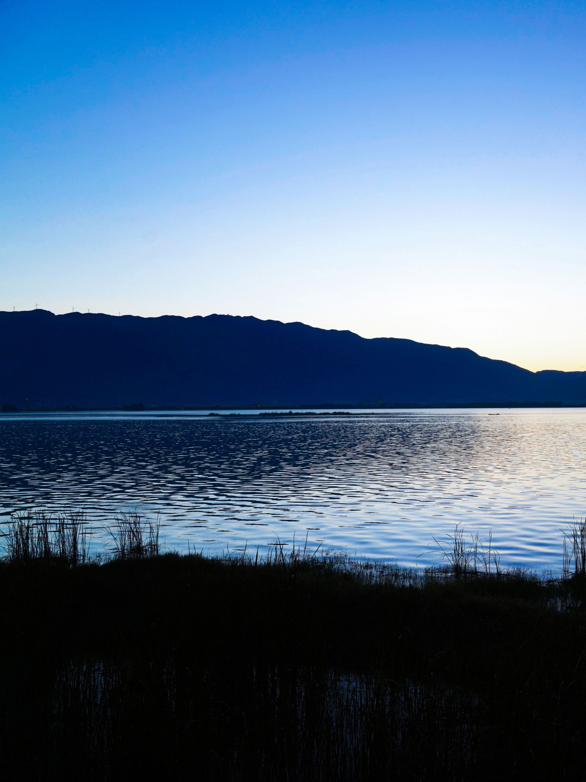 大屯海春日景色有多美美到霸气登上央视新闻联播