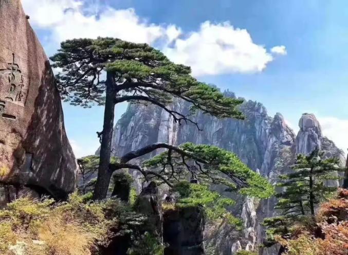 这个“千年IP”何以代表中国迎客天下？