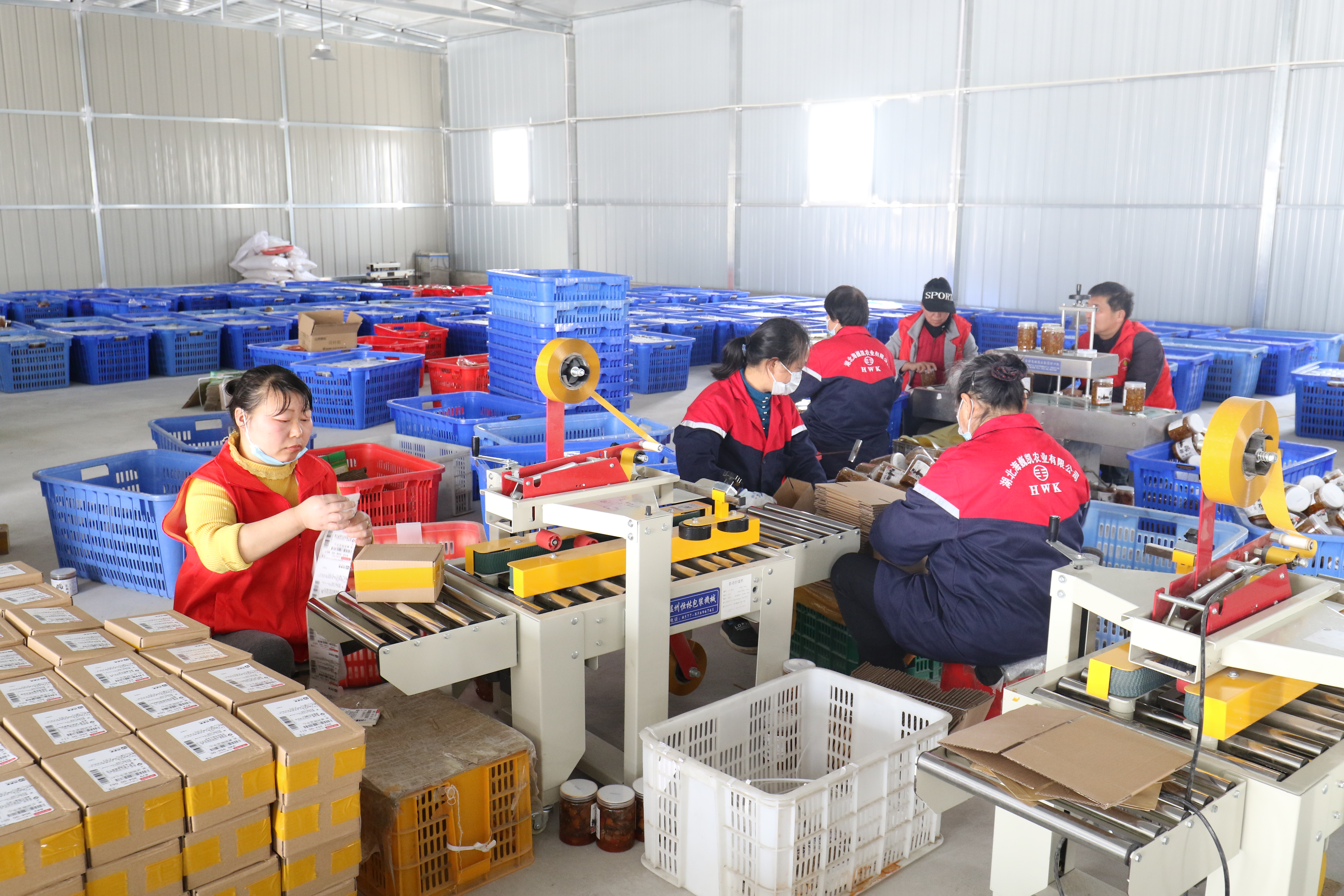 工人为即将出货的农产品进行打包,封装,粘贴标签