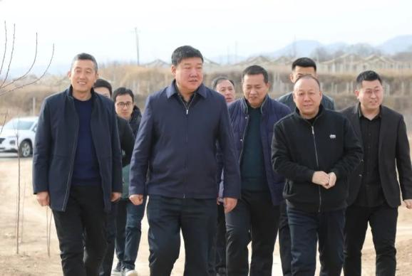 高汉武调研农业农村和乡村振兴工作