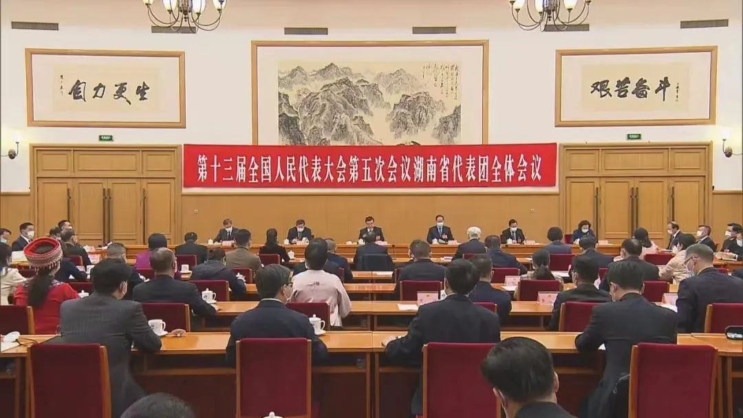 湖南代表团举行第一次全体会议推选张庆伟为团长毛伟明等为副团长