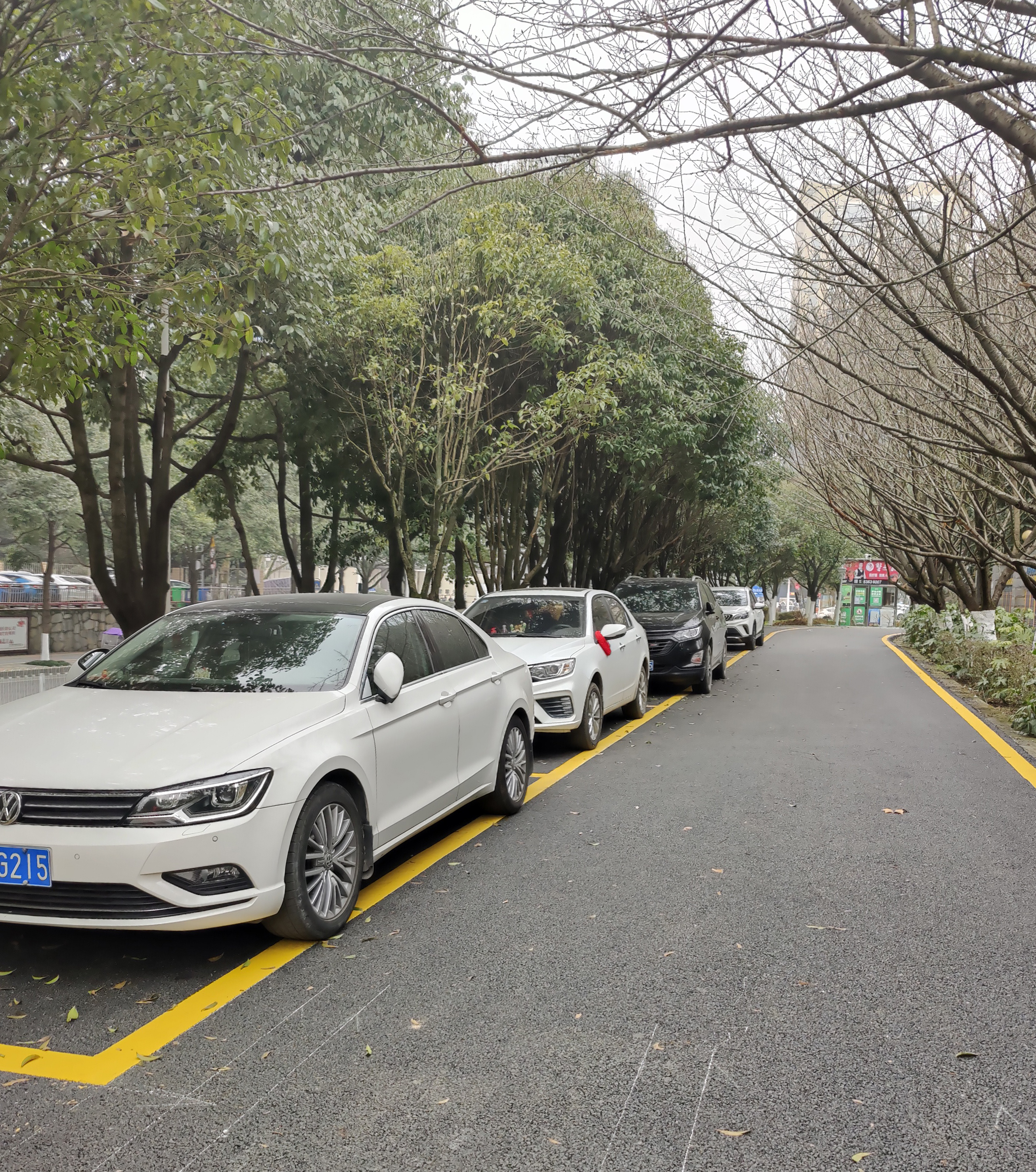 建设时并未规划地下停车场停车位不足造成小区内乱