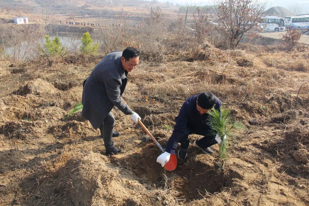 扶樹苗,填新土等環節,栽種好每一顆孕育生命的樹苗