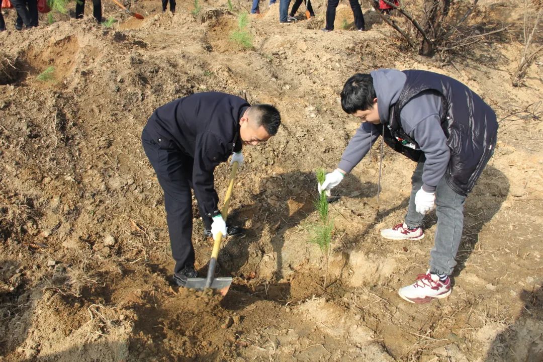 扶樹苗,填新土等環節,栽種好每一顆孕育生命的樹苗